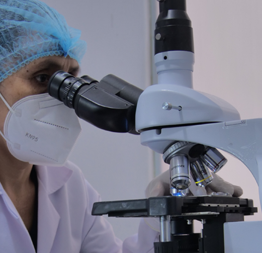 BIOALTERNATIVA 24