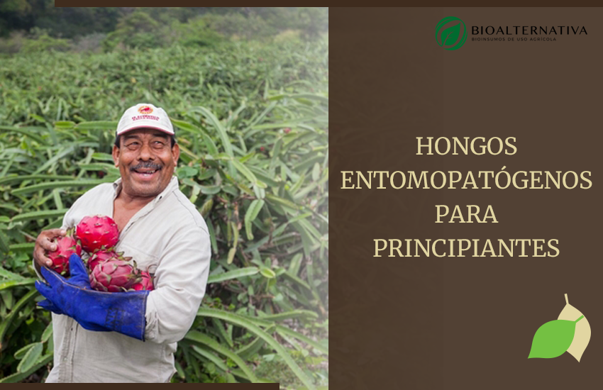 hongos entomopatológicos trujillo