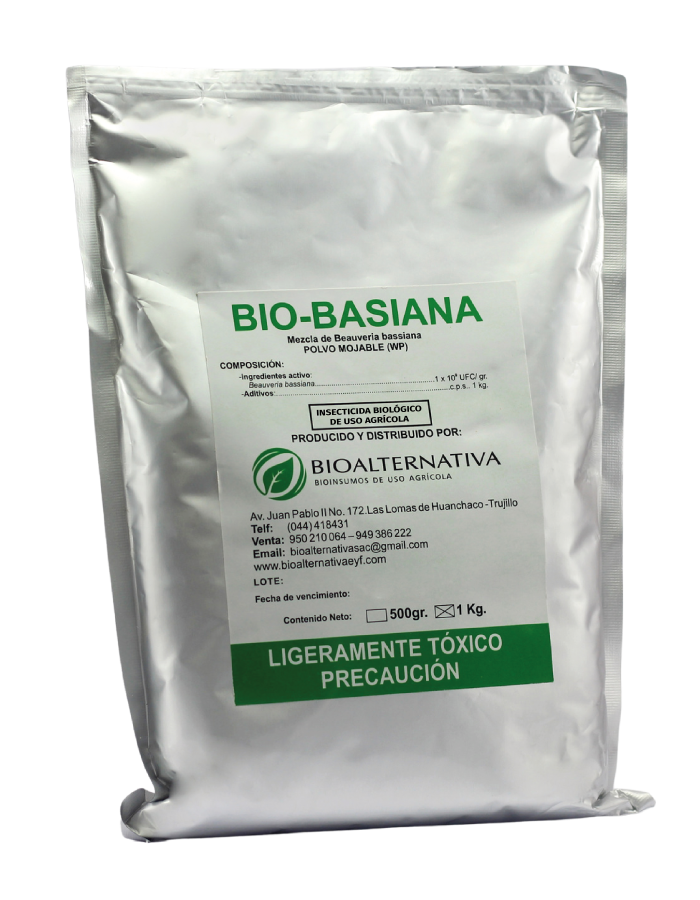 BASIANA- PÁG WEB