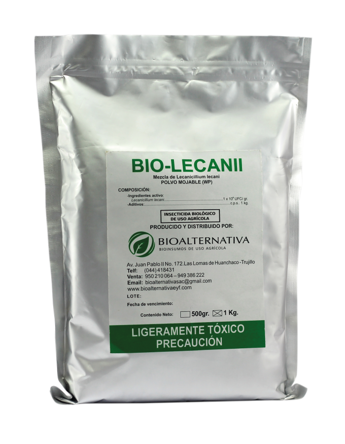 LECANII- PÁG WEB